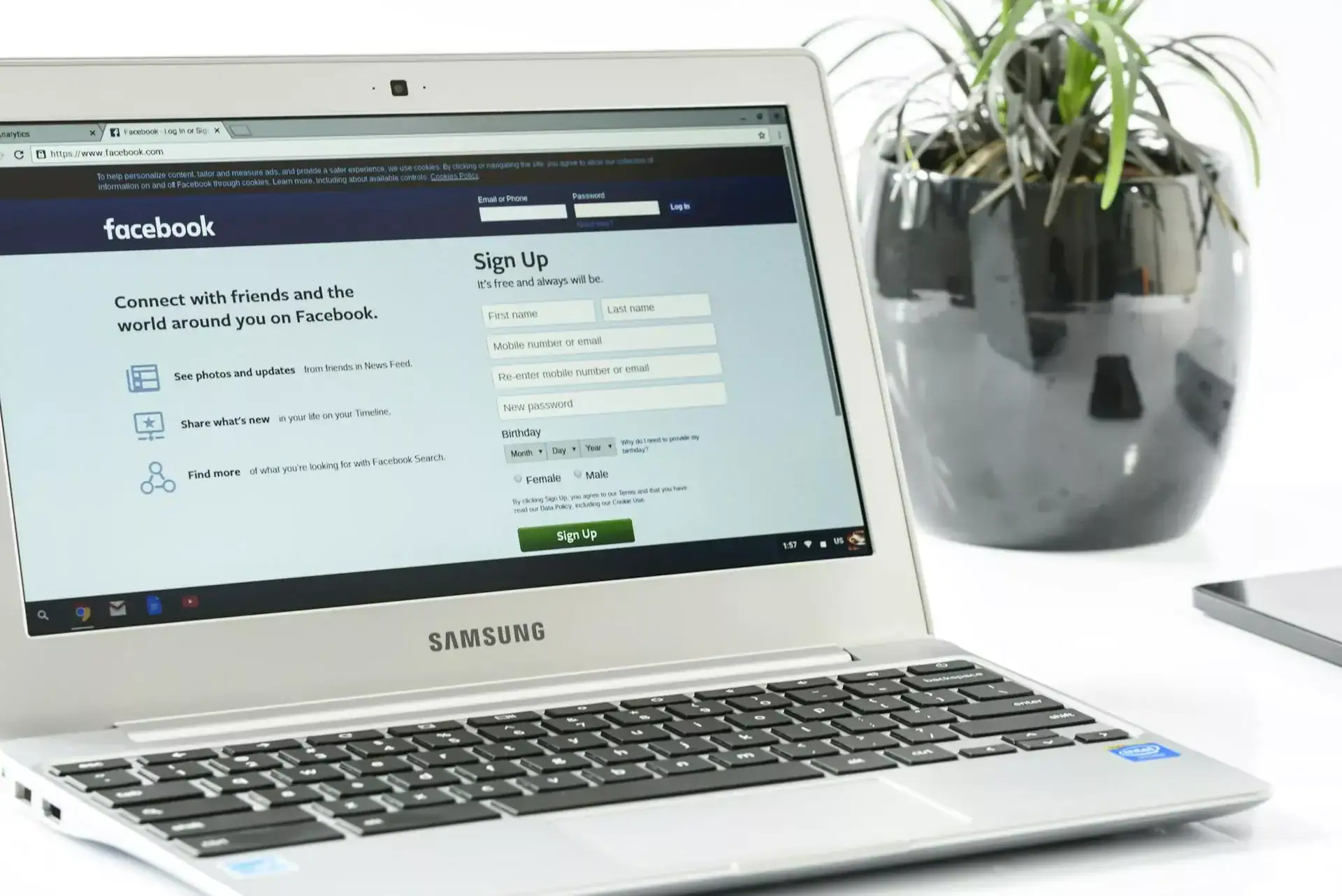 Alt text: Laptop displaying Facebook login and sign-up page with native interface and form fields, next to a plant in a grey pot.